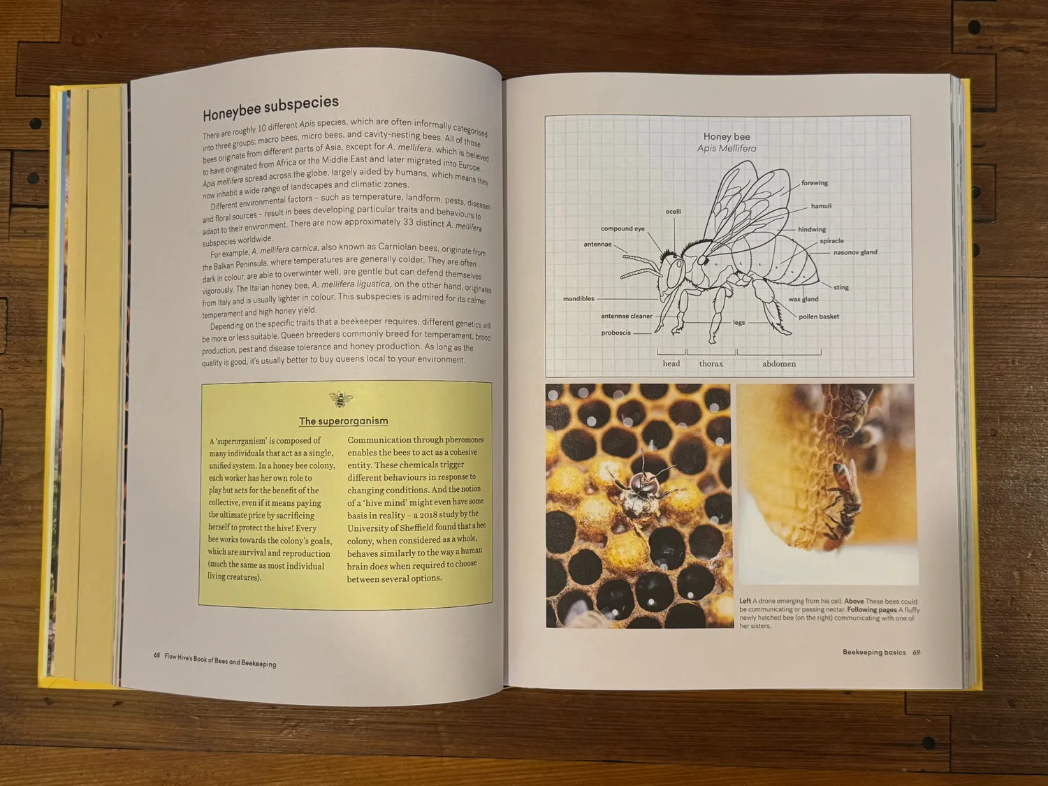 Flow Hive Book of Bees and Beekeeping Imkerbuch
