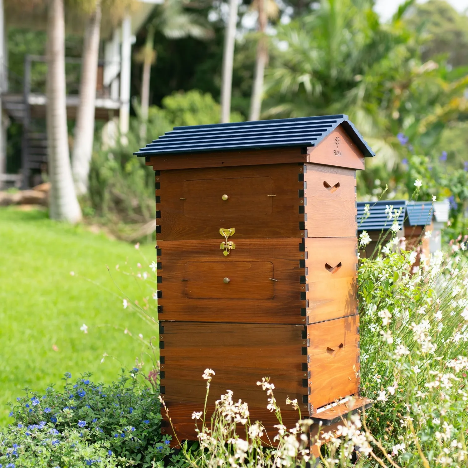 Flow Hive Expansion Bundle Beutenset einstiegsfertig