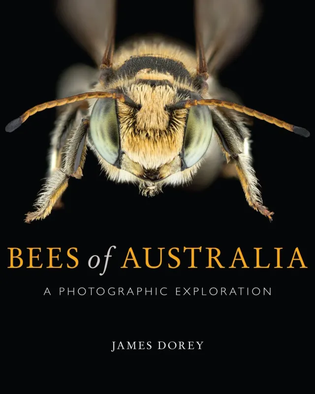 Flow Hive Bees of Australia Fotobuch native Bienen