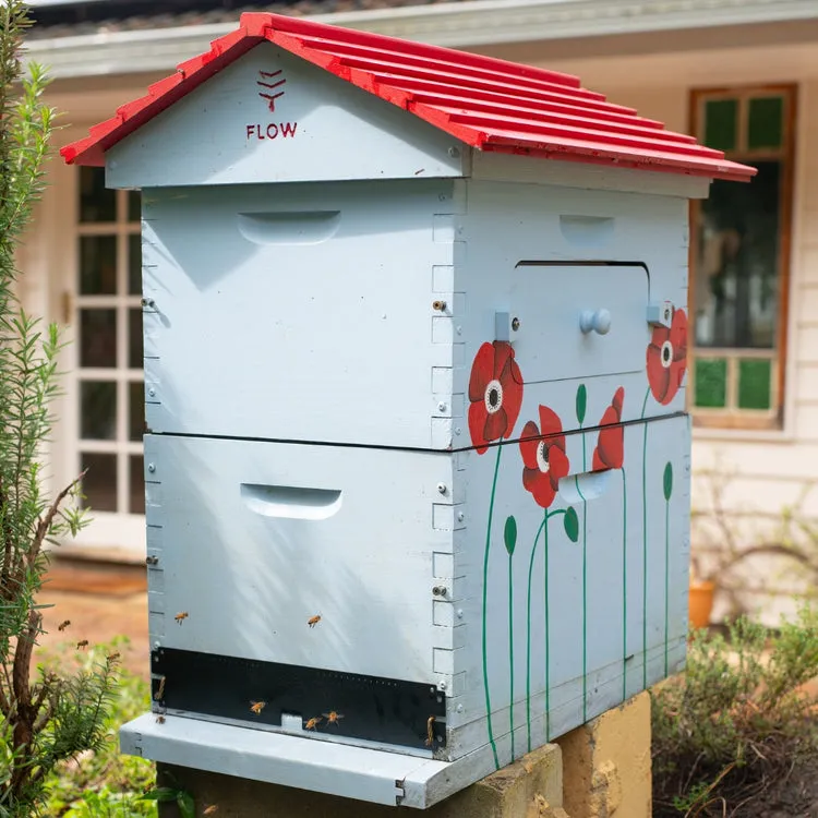 Flow Hive Classic Upgrade Kit Aufrüstsatz Flugloch Ernteablage