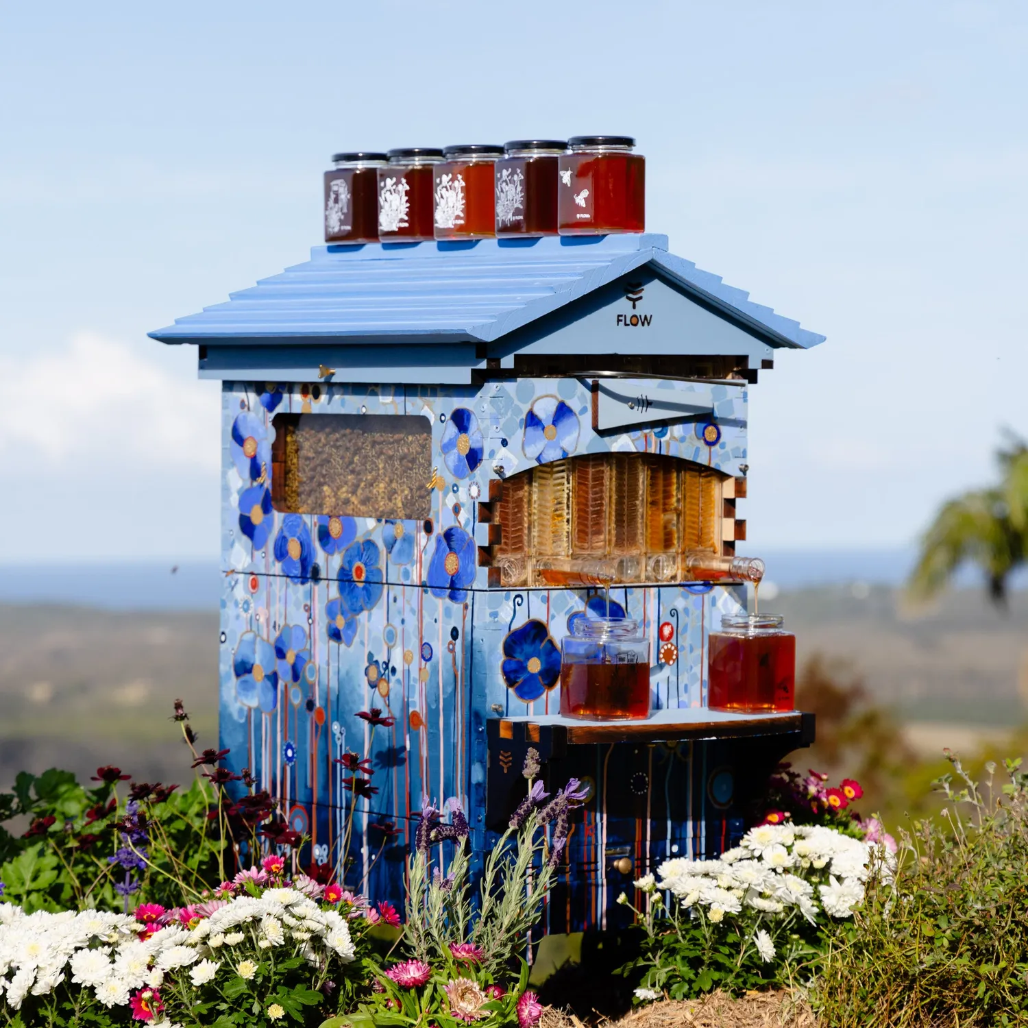 Flow Hive 2 Bienenstock Honigernte direkt am Stock