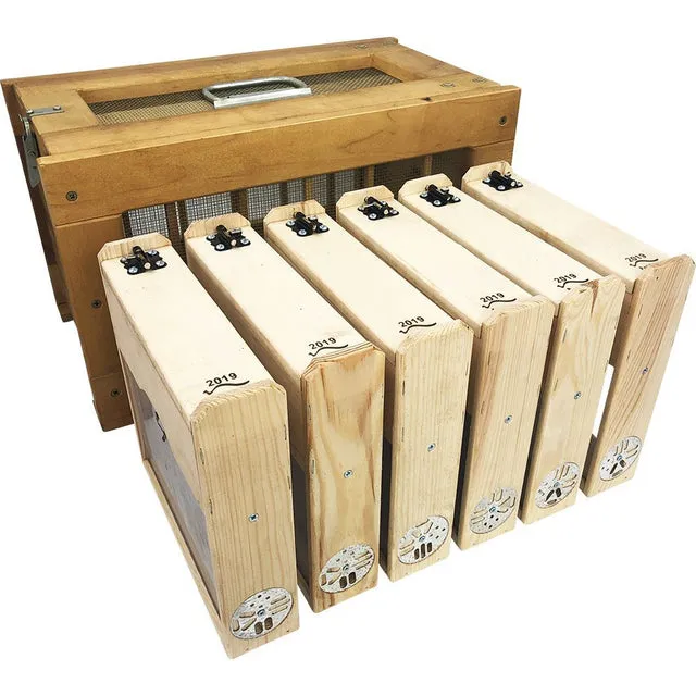 Bienenwagner Transportbox für 6 EWK Holz belüftet