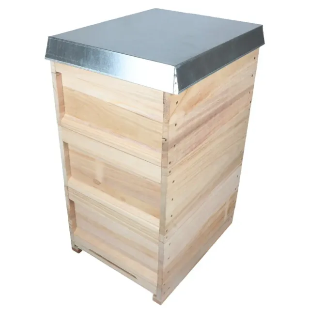 Imkado Zander Beuten-Set Bausatz Paulownia 10 Rähmchen