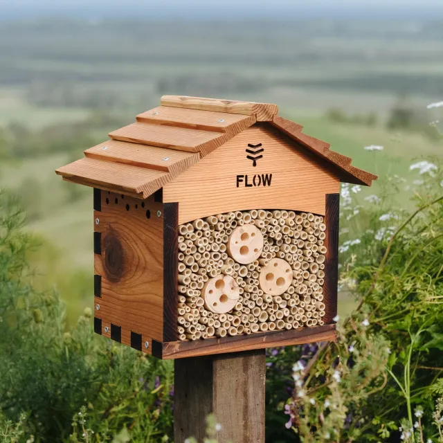 Flow Hive Pollinator House Insektenhotel Zeder