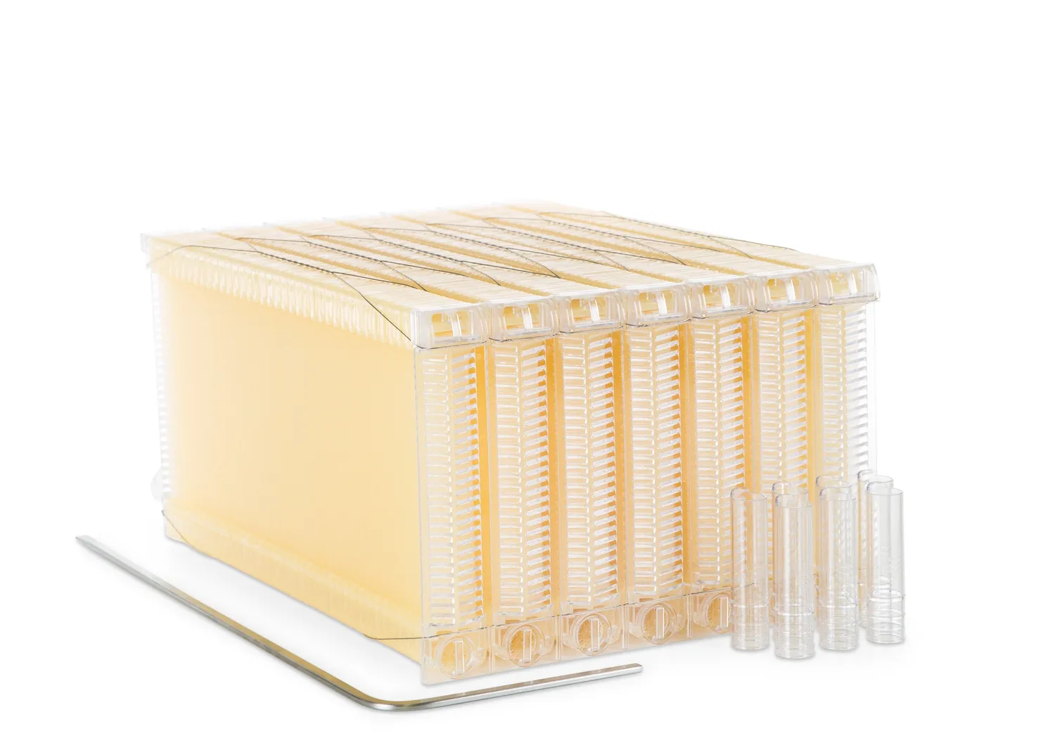 Flow Hive 2+ Flow Super Honigraum Zeder
