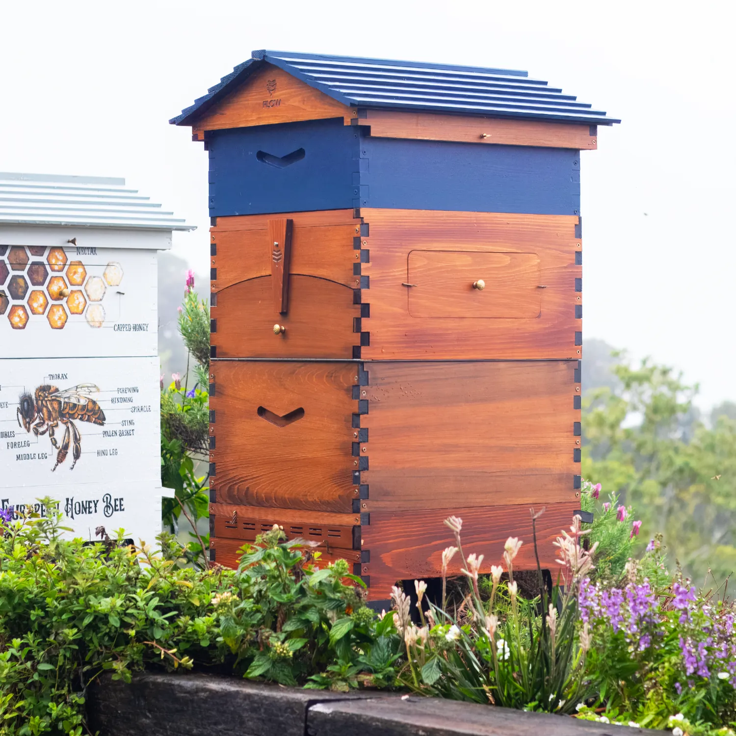 Flow Hive Expansion Bundle Beutenset einstiegsfertig