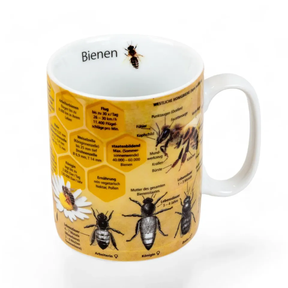 Imkado Bienenwissen Tasse Könitz Porzellan 25 Fakten Geschenk