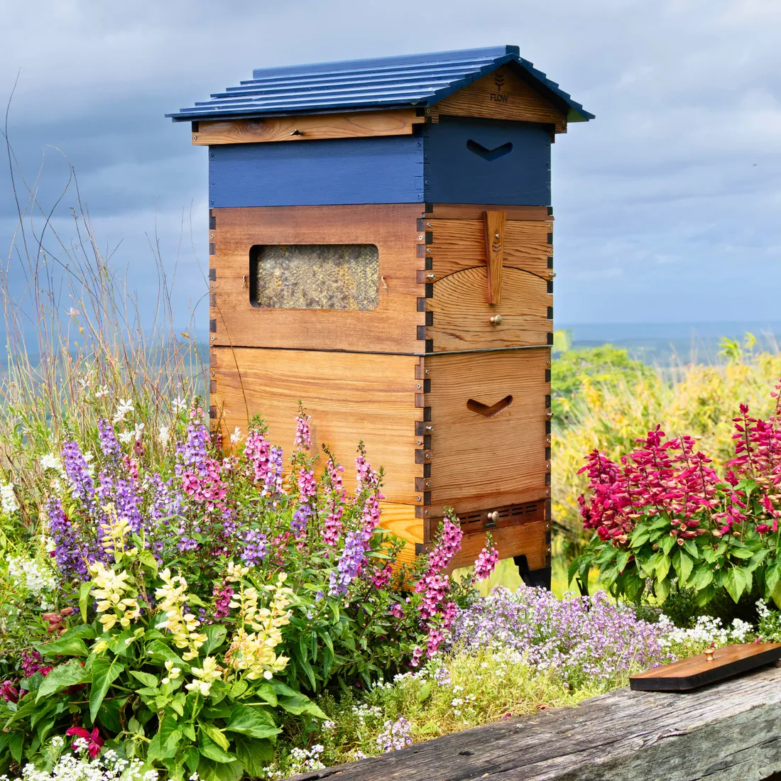 Flow Hive Expansion Bundle Beutenset einstiegsfertig
