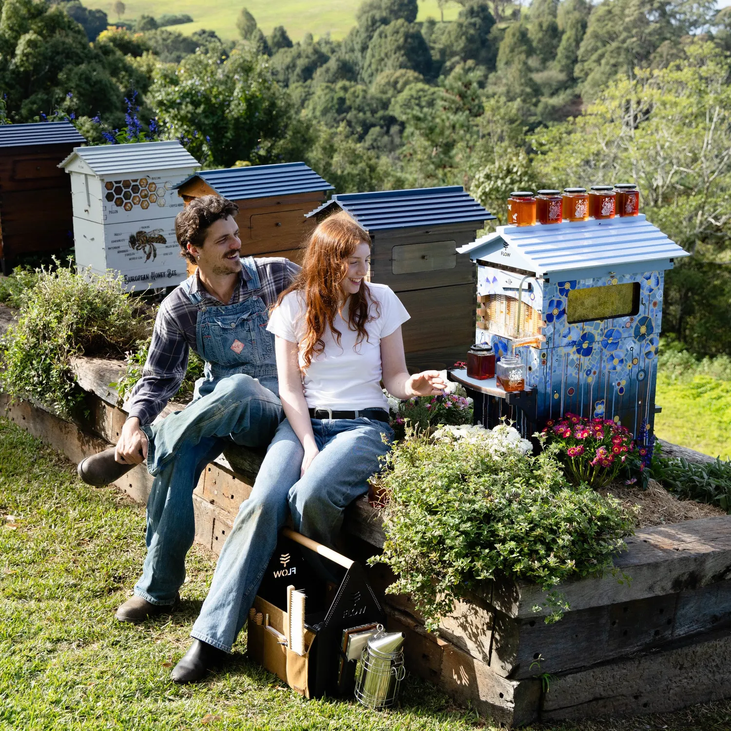 Flow Hive 2 Bienenstock Honigernte direkt am Stock