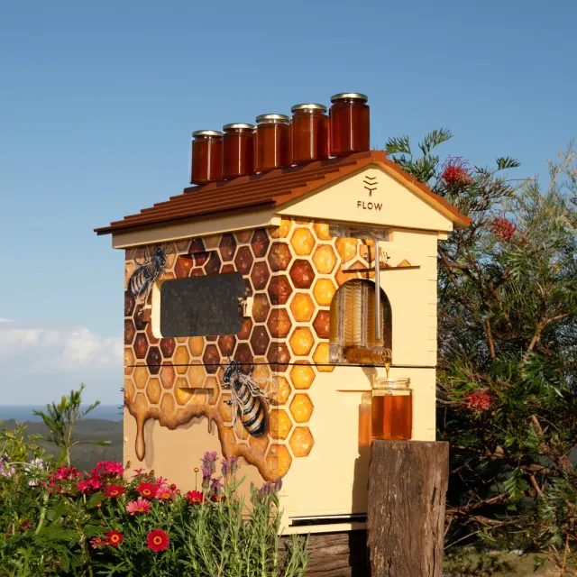 Flow Hive Hybrid Bienenbeute Araukarie 8 Waben Sichtfenster