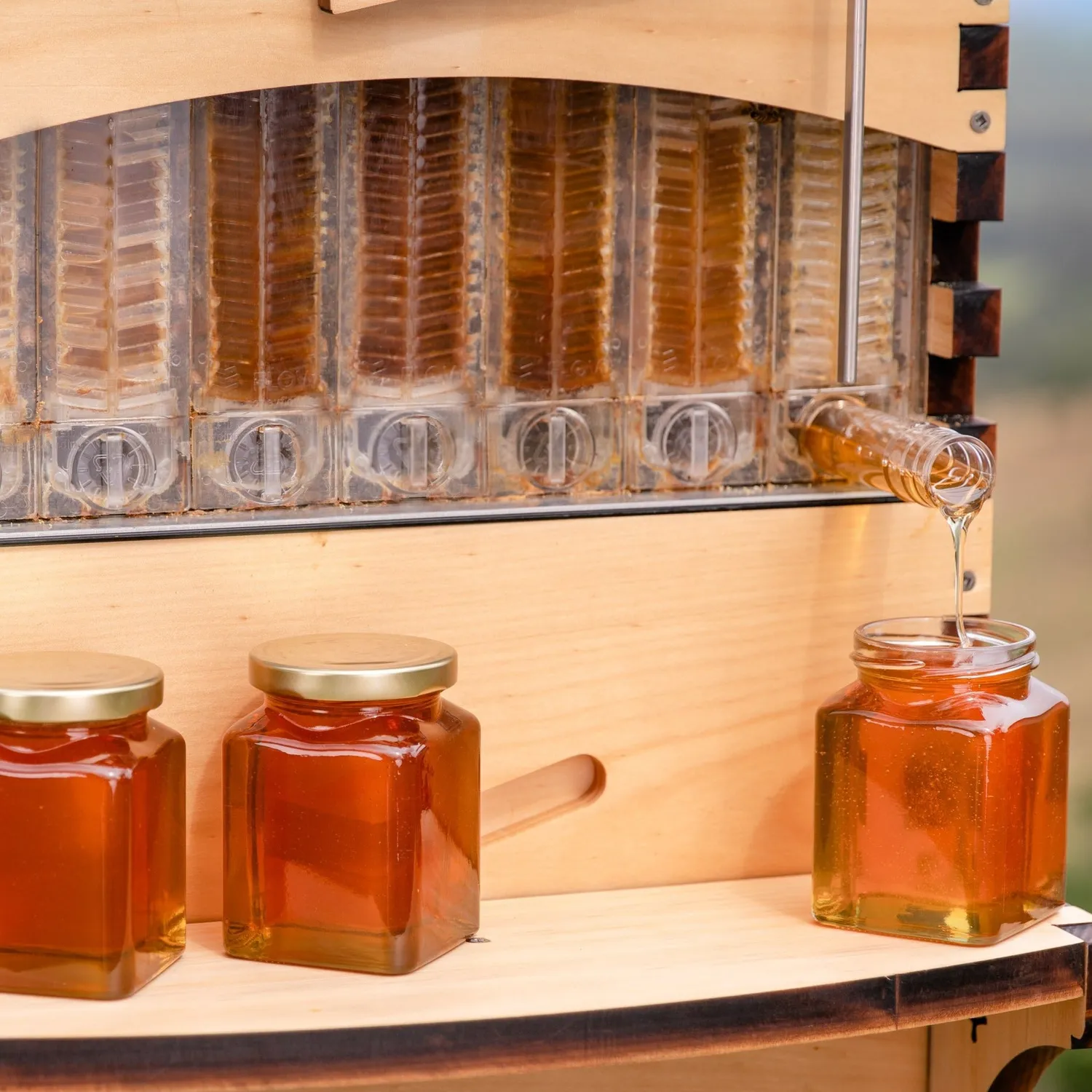 Flow Hive 2+ Flow Super Honigraum Zeder