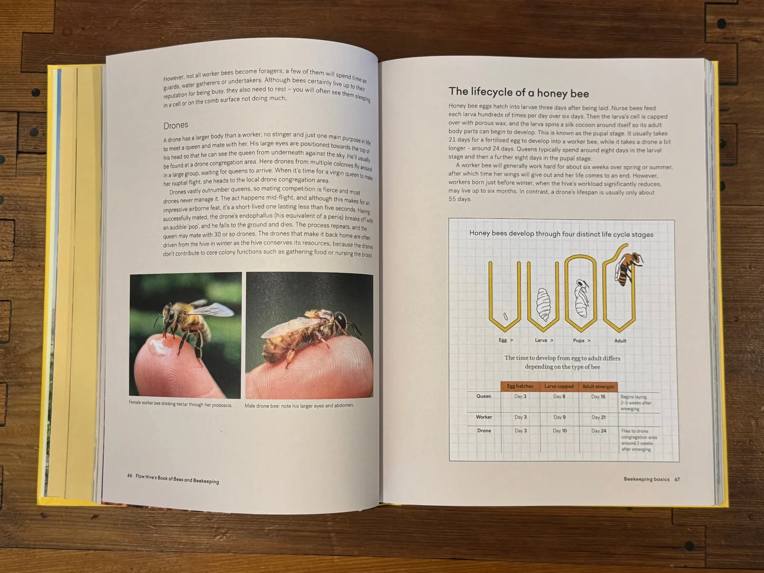 Flow Hive Book of Bees and Beekeeping Imkerbuch