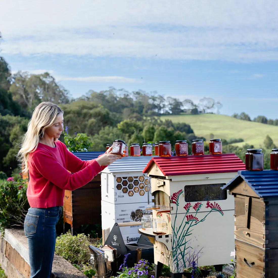 Flow Hive 2 Bienenstock Honigernte direkt am Stock